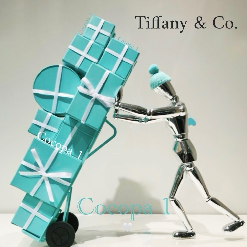 ❤️❤️❤️ Tiffany & Co.❤️❤️❤️ Jewelry In My Closet ❤️